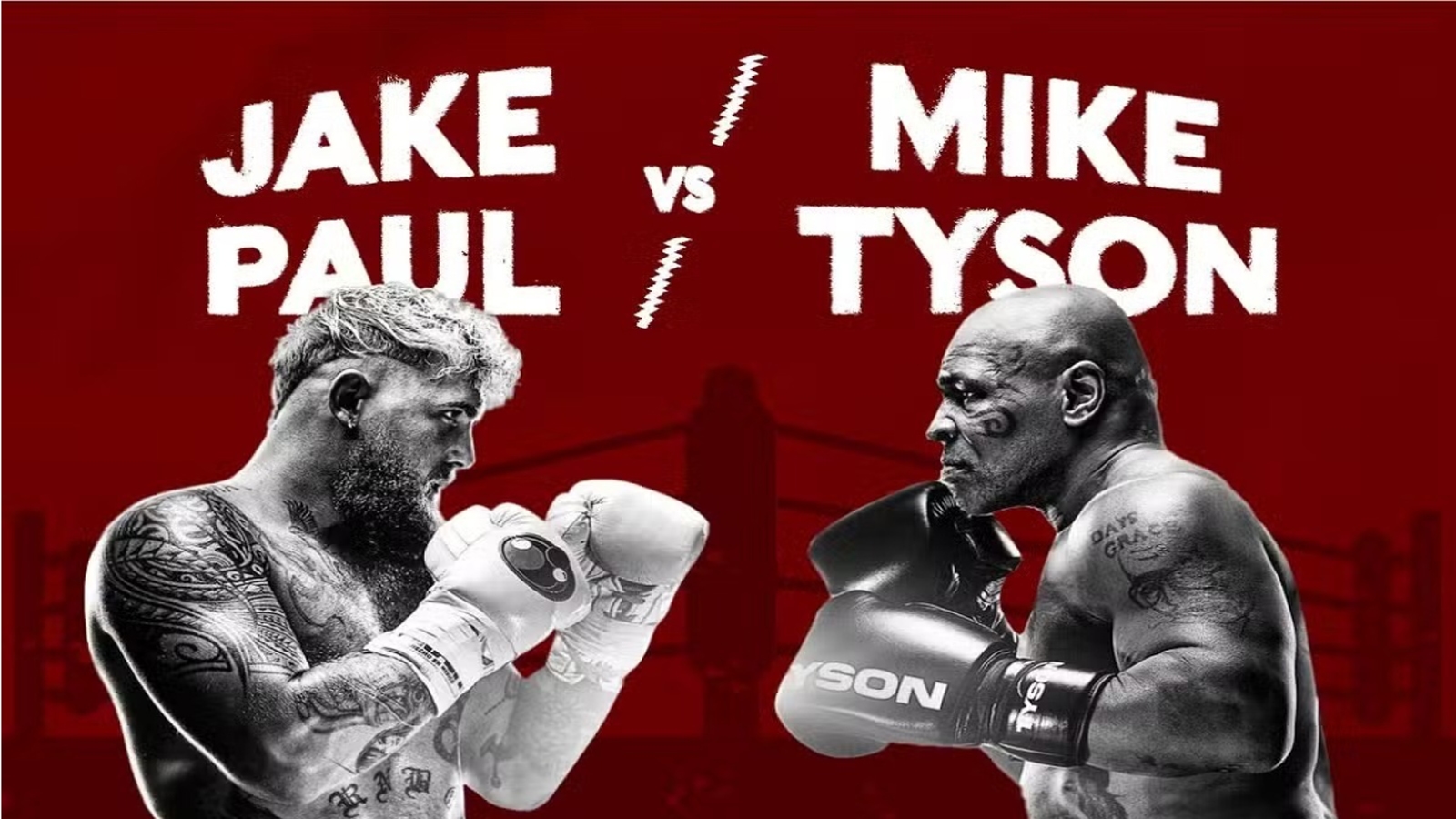 نتیجه مسابقه مایک تایسون و جیک پاول : شکست افسانه سنگین وزن بوکس 1 نتیجه مسابقه مایک تایسون