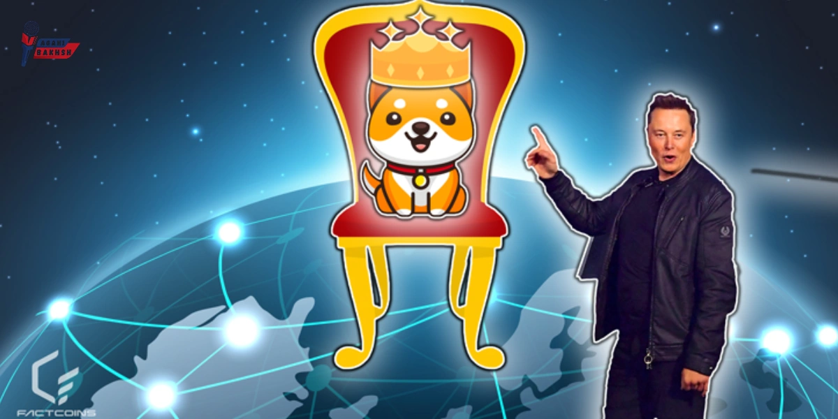 پیش‌بینی قیمت Baby Doge Coin 