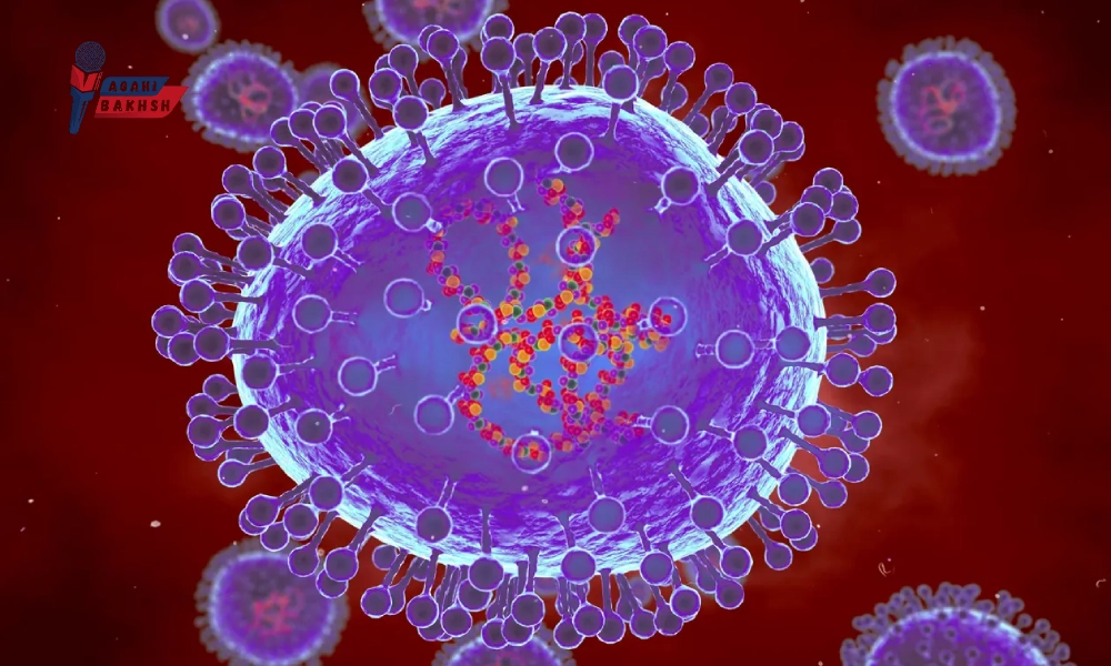 ویروس جدید متاپنومونیه انسانی تهدید مشابه کرونا در سال 2025؟ 1 ویروس جدید متاپنومونیه انسانی