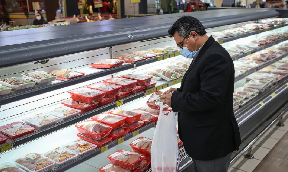 ترکیه و عربستان بازار مرغ منطقه را صاحب شدند: بررسی دلایل و پیامدها