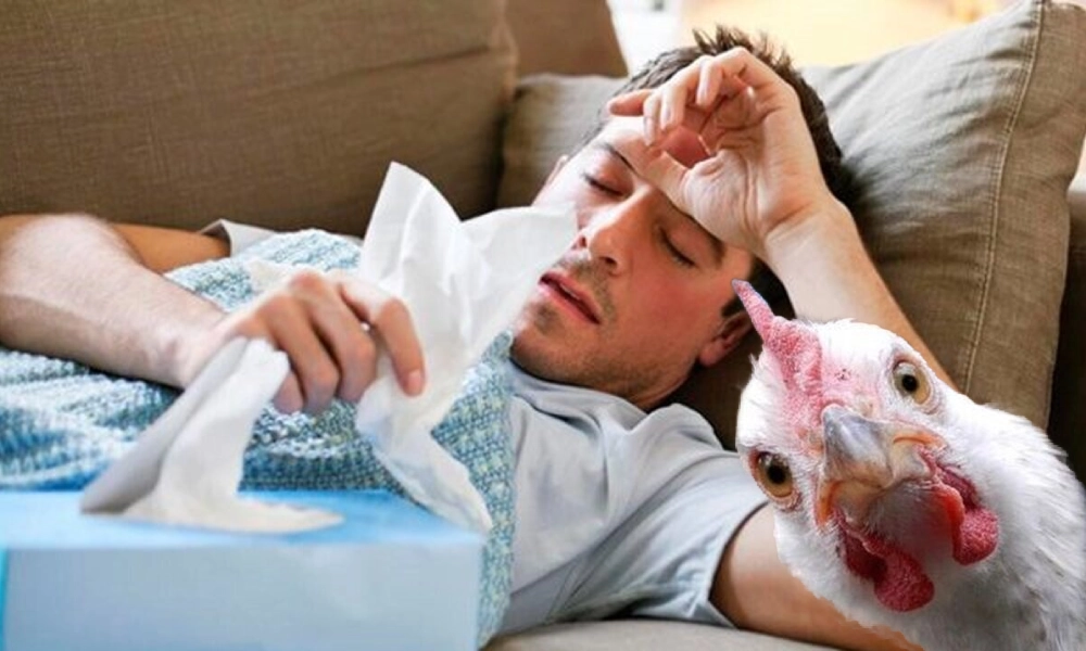 آنفلوانزای پرندگان