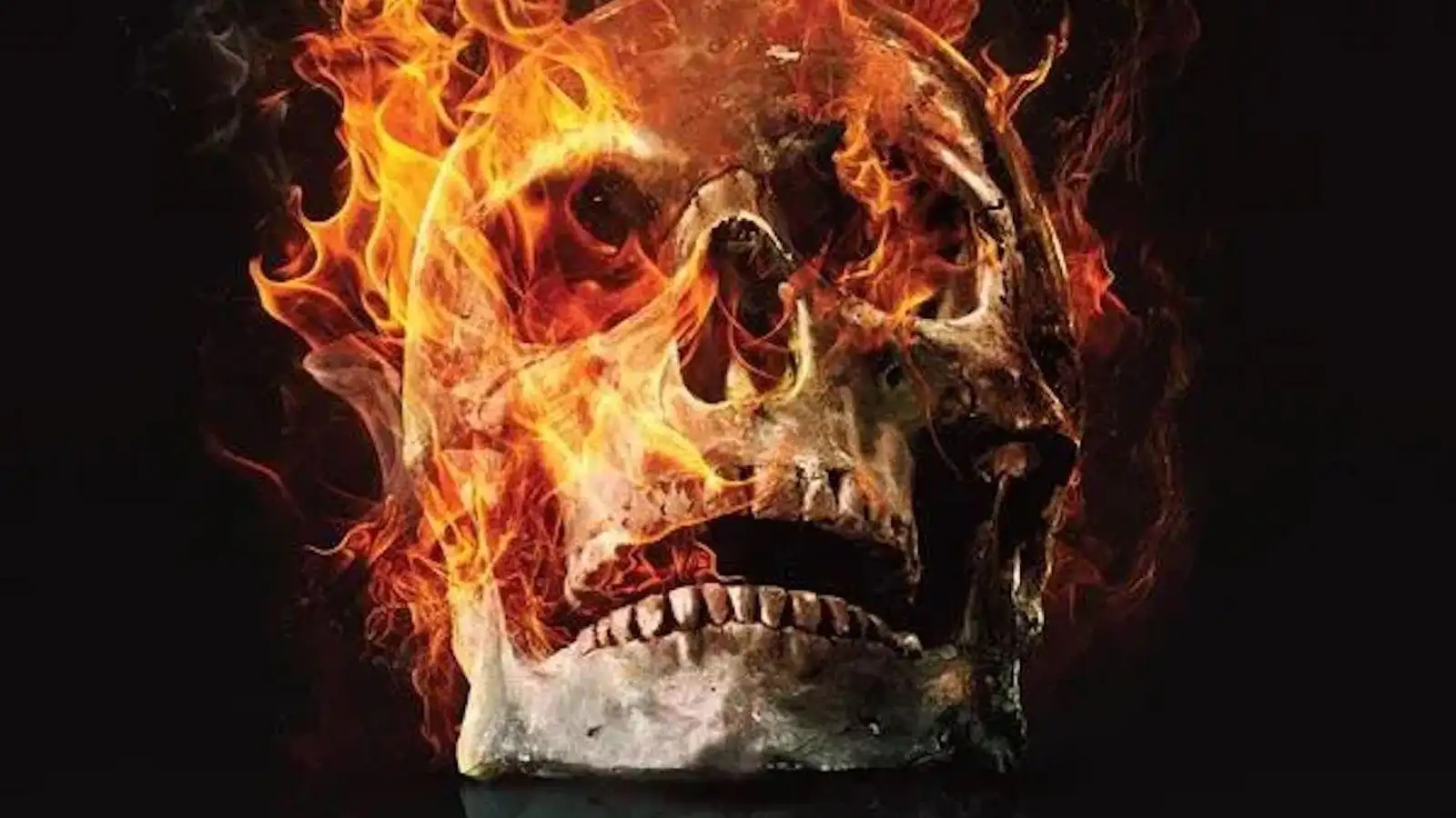 مقصد نهایی 6: خون‌بها - بازگشت باشکوه مرگ!