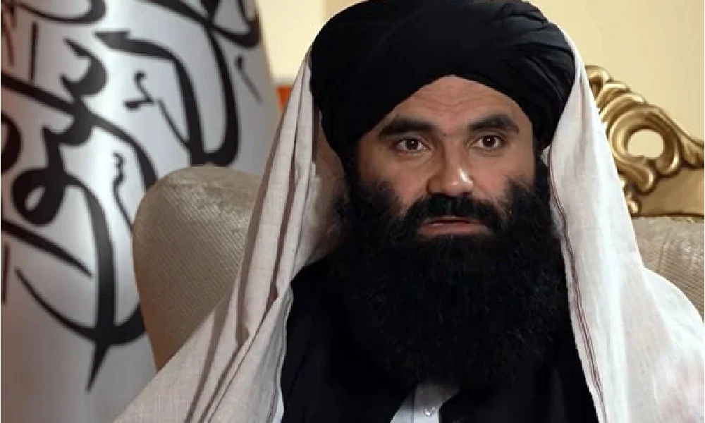 شوک دیپلماتیک: لغو جایزه امریکا برای طالبان!