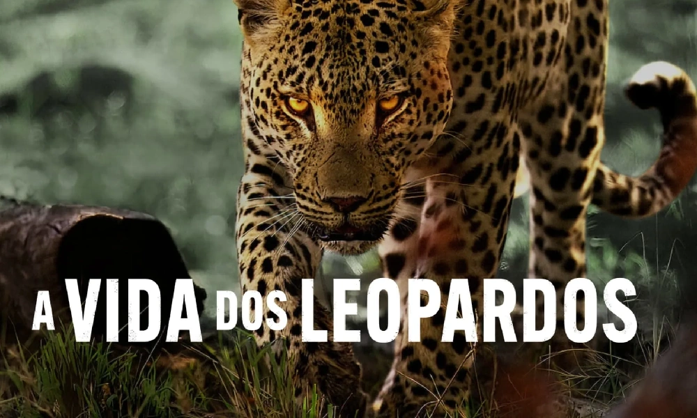 در تعطیلات نوروز چه فیلم هایی ببینیم؟ 1404 6 فیلم