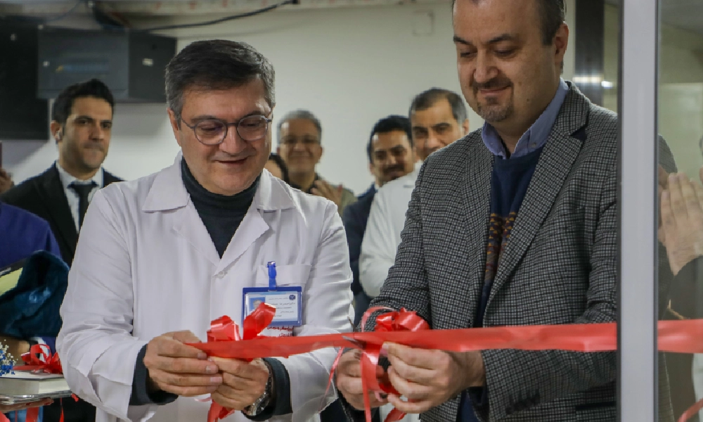 خیریه نیکان ماموت