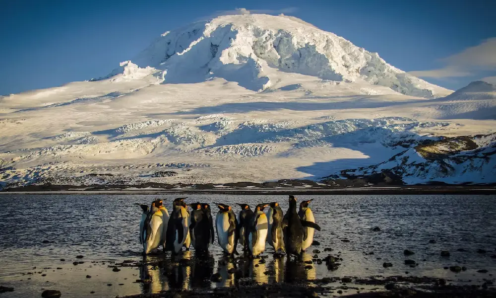جزایر هرد و مک‌دونالد