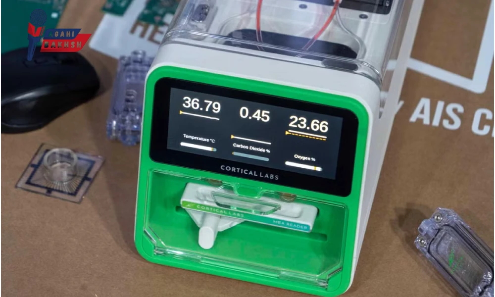 کامپیوتر بیولوژیکی