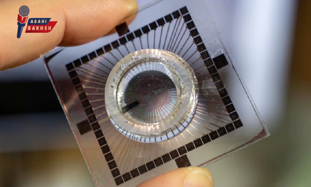 اولین کامپیوتر بیولوژیکی جهان با مغز زنده ساخته شد | شگفتی فناوری!