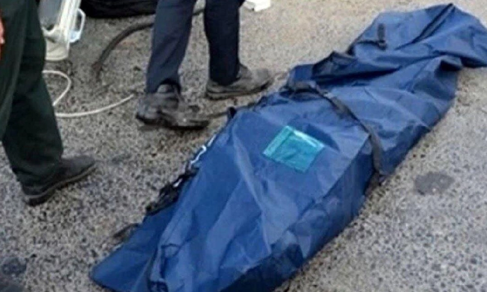 الهه حسین نژاد