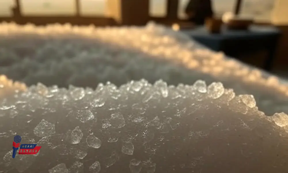 بررسی دلایل افزایش قیمت شکر در ایران