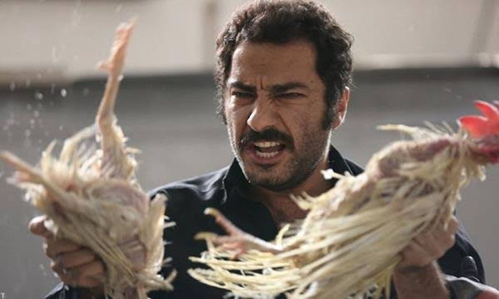 نوید محمدزاده بازیگر برجسته بازیگران سریال آکتور فصل دوم