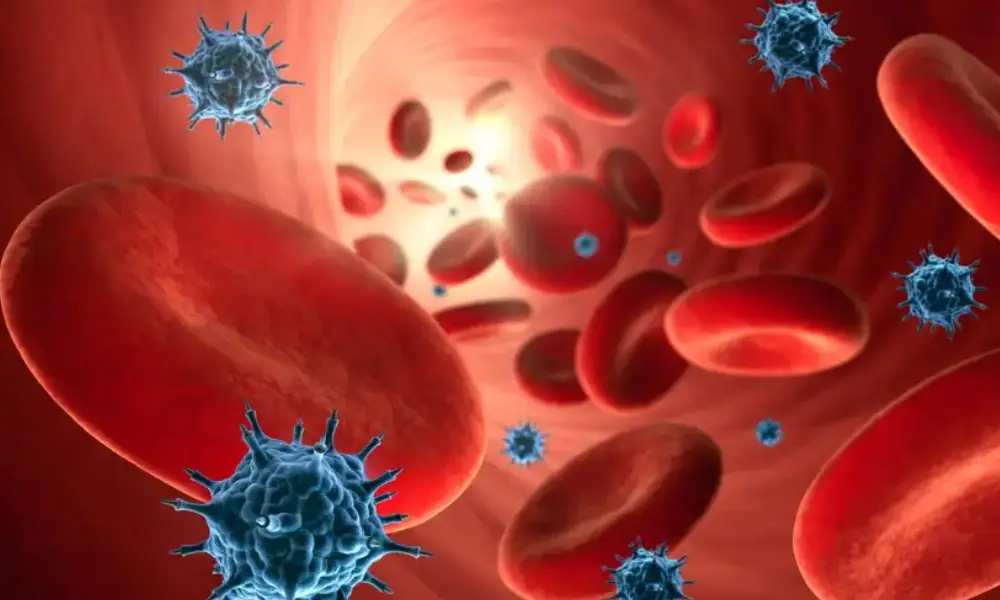 کووید-۱۹ رگ‌های خونی را پیر می‌کند - اما فقط در زنان